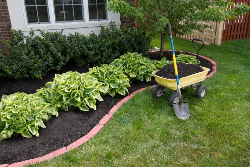 Landscape Design & New Planting