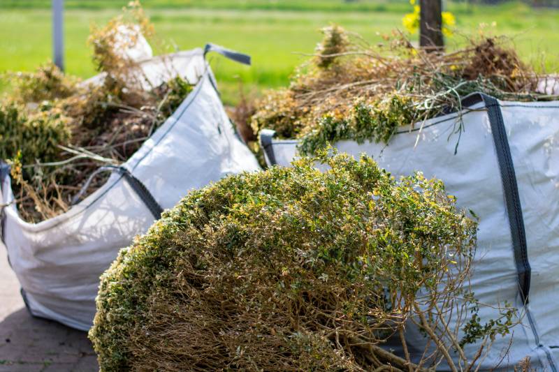 Weeding & Brush Removal